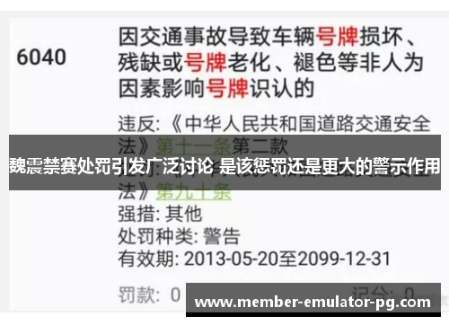 魏震禁赛处罚引发广泛讨论 是该惩罚还是更大的警示作用