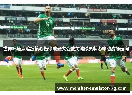 世界杯焦点追踪核心伤停成最大变数关键球员状态牵动赛场走向