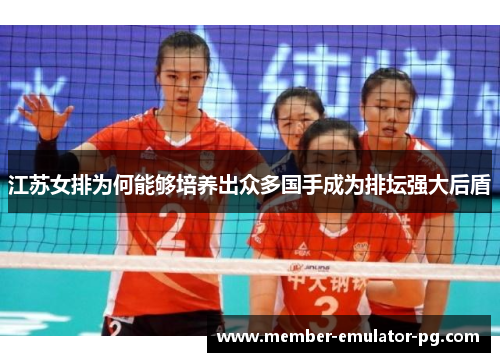 江苏女排为何能够培养出众多国手成为排坛强大后盾