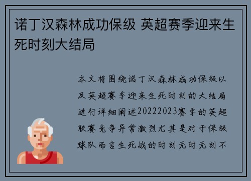 诺丁汉森林成功保级 英超赛季迎来生死时刻大结局